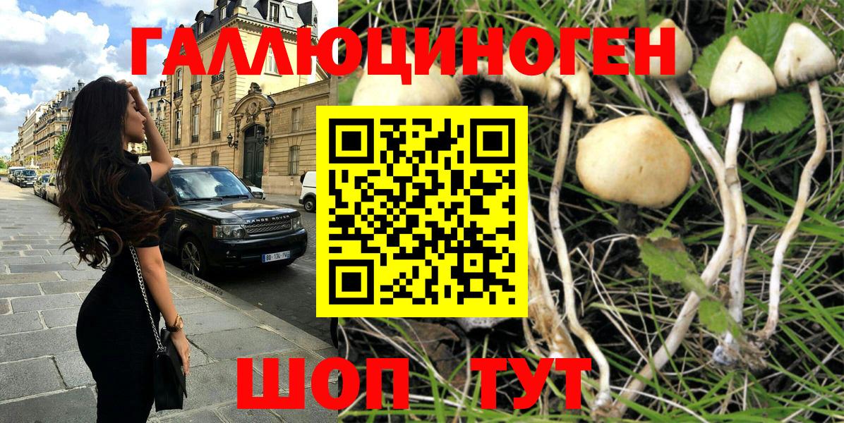 цена   Псилоцибиновые грибы Cubensis  Вход с VPN  Галлюциногенные грибы Psilocybe  Сатка 