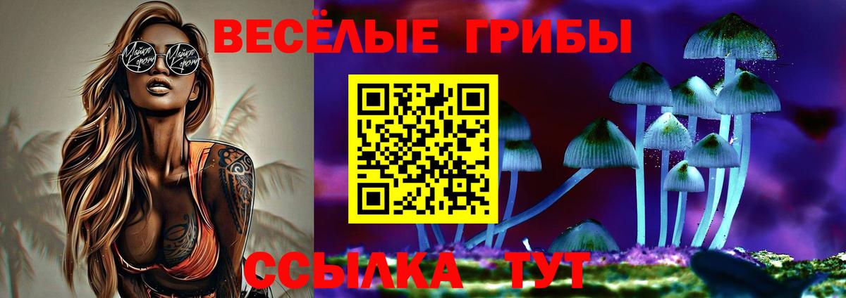 Псилоцибиновые грибы Cubensis Сатка