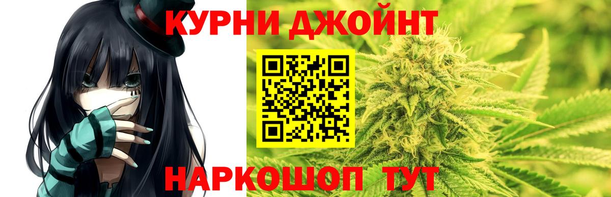 Канабис планчик Сатка